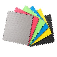 Environmental Friendly Martial Arts Wrestling Mat Anti-Noise Shock Absorption Foam Pad Taekwondo Gym