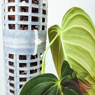 [Tool] Moss Pole Plastic Extension 2 Size 2 Colour by LS Group