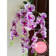High-class Wall-Mounted Orchids - Fake Flowers, Silk Flowers.