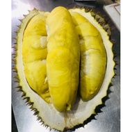 JR289 Durian Utuh Montong Palu Parigi 3kg TERBARU