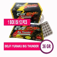 Delfi ThunderBIG 1 Box Contains 12 pcs - Delfi Yuraku Japanese Cookie Bar Chocolate