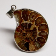 Ammonite pendant Shell Million-Year-Old Half Body Cut Can Be Carried With You. Increase Power