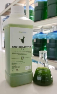 Algae Living Fresh Nannochloropsis - Food for Fish Fry Shrimp Rotifer Daphnia Copepod
