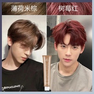 Recommended Hair Dye Men's Special Blue Black Tea Color Raspberry Red Hair Dye Cream Student Permane