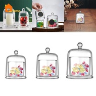 [Nanaaaa] Glass Cloche Dome Tabletop Ornament for Fairy Lights Pillar Candles Jewelry