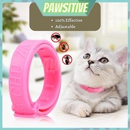 PAWSITIVE Anti Flea Collar Cat Flea Collar For Cat/Rantai Kutu Kucing/Rantai Kucing Anti Kutu/Kolar 