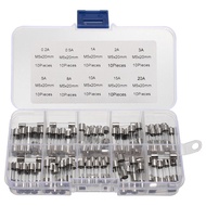 100Pcs Glass Tube Fuse Assorted Kit 5 * 20MM Fast-blow Glass Tube Fuse 250V Fast Acting Glass Fuse P