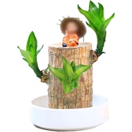 Brazilian Wood Plant – Natural Desktop Decoration with Plastic Tray – Unique Brazilian Lucky Wood Hy