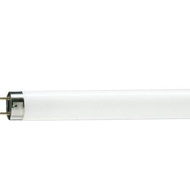 PHILIPS LifeMax  Fluorescent Lamp 18W Cool Daylight [TL-D 18W/54-765]