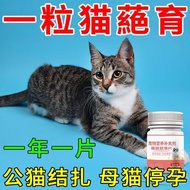 Suppressing Tablets Sterilization Suppressing Inhibition Female Cats Prevent Cats Universal Emergenc