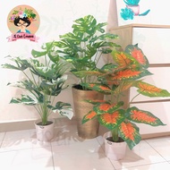 Premium Pokok Hiasan Viral/70cm/Artificial/18pcs Leaf/Pokok Monstera Albo/Pokok Monstera/Pokok Keladi/Pokok Daun/