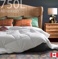 HIghland Feather - 加拿大超輕柔白鵝羽絨 冷氣被 四季被 羽绒被 單人