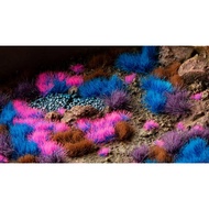 Gamers Grass -  GGSET-MN - Mystic Nebulae Set