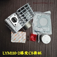 Suitable for Linhaiya Mahaxi Feifa C8 Curved Beam Motorcycle LYM110-2-3 Cylinder Combination Cylinde