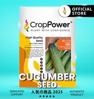(10 GRAM) Biji Benih Timun DC1119 CROP POWER F1 Hybrid Cucumber Seeds  黄瓜种子 DC 1119