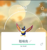 Pokemon GO 聒噪鳥 Chatot 色違 / 異色 / Shiny / 閃光 寵物小精靈 寶可夢 Pokémon go