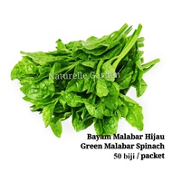 Benih Sayur Bayam Malabar Hijau Green Malabar Spinach Seed Benih Sayur Vegetable Seed 50 biji per pa