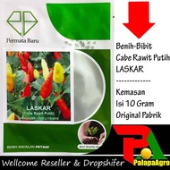 Cabe Rawit = Benih Bibit Sayuran Buah Super Unggul Cabe Rawit PRENTUL Putih LASKAR 10gr