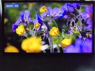 背光組 ( SAMPO  EM-55VA15D ) 拆機良品