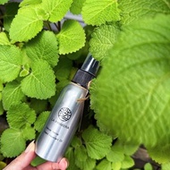 【植萃防蚊液】草本精油防蚊液(網美戶外咖露營咖全家必備)