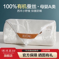 Boyang Home Textiles Thick Silk Duvet Warm Antibacterial Spring Autumn Duvet High-end Wedding Duvet 