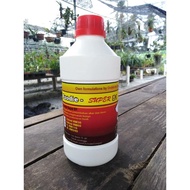 Penggalak Akar Foodie Super B1