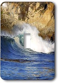 3dRose lsp_41748_1"Big Sur Waves Single Toggle Switch
