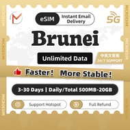Brunei eSIM 3-30 Days Unlimited Data SIM | High Speed Travel Data | 24H Instant Delivery