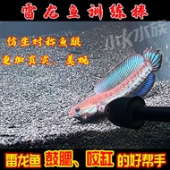 Thunder Dragon Fish Training Stick Thunder Dragon Fish Training Magic Stick Thunder Dragon Fish Teas