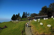 清境雲之瀑休閒渡假村Cloud Falls Resort