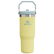 STANLEY THE ICEFLOW FLIP STRAW TUMBLER