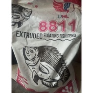 makanan ikan keli,puyu