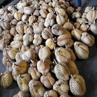 Durian Bulat Utuh Montong Palu Parigi 6kg x 75rb