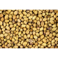 Coriander Seed Coriander Seed/Biji Kemtunbar