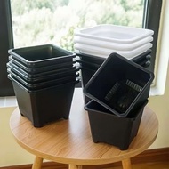 Mini black and white hard square plastic pots for growing succulents and bonsai cacti, 7x7, 9x9, 10x