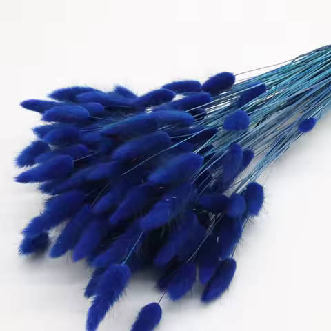 1bunch(about 60pcs)Royal Blue Boho Home Decoration Natural Lagurus Dried Colorful Bunny Tails Grass 