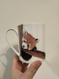 小浣熊造型馬克杯