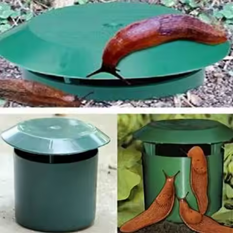Plastic Snail Catcher Snail Cage Insect Trapper Snail House Garden Vegetable Supplies Snail Box Dest