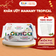 Combo 12 Khăn ướt Mamamy Tropical gói 60 tờ cho mẹ và bé cao cấp 100% sợi tự nhiên và rayon ngừa hăm
