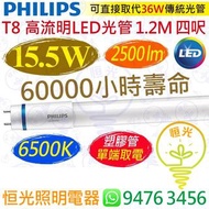 PHILIPS 飛利浦（單端）T8 高流明 6500K 白光 15.5W LED 光管 2500流明 1.2M 四呎 60000小時壽命 香港行貨 保用一年
