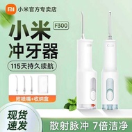 Xiaomi Mijia Electric Flosser F300 Flosser Water Floss Portable Household Oral Flosser Gift