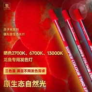 Mayin V2 T5 Tanning Light 2700K 6700K 13000K 92cm 112cm 142cm Lampu Arowana 龙鱼发色灯