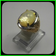 BATU CINCIN FOSIL KERANG MUTIARA