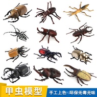 Children Simulation Beetle Model Insect Toy Shovel Beetle Beetle Unicorn Big Beetle Beetle Cognitive