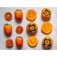 Persimmon Pisang Kaki Anak Pokok Hidup