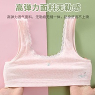 YR Girls Underwear Children's Small Vest Developmental 9-12 Elementary School Bras 16 Years Old Juni