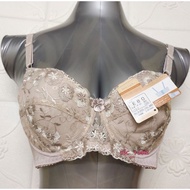 36E/80E VERY LUCKY PLUS SIZE BRA - WIRED