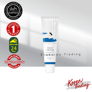 Round Lab Birch Juice Moisturizing Sunscreen / Tone-Up Sunscreen SPF50+ PA++++ 50ml กันแดด