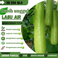 (250 butir) benih labu air/labu air sayur
