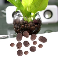 Hydroponic Clay Pebbles Growing Media Anion Clay Rocks for Hydroponic System